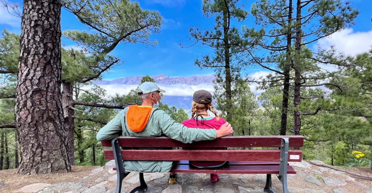 Afbeelding 3 van Vanaf Tenerife: dagtrip naar de vulkanische landschappen van La Palma