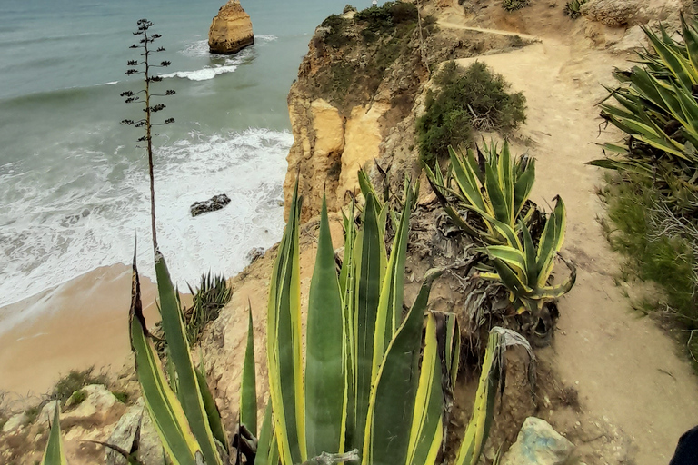 Albufeira: Passeio pelas Falésias do Algarve e Capela dos OssosPasseio pelas falésias do Algarve com parada na Capela dos Ossos