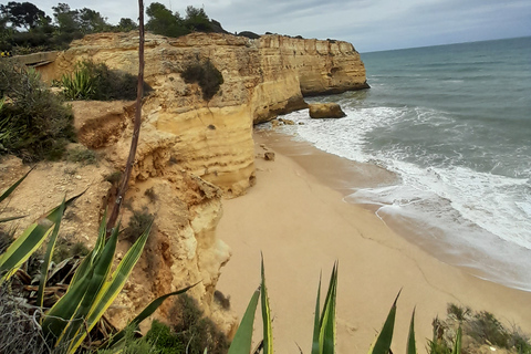 Albufeira: Passeio pelas Falésias do Algarve e Capela dos OssosPasseio pelas falésias do Algarve com parada na Capela dos Ossos