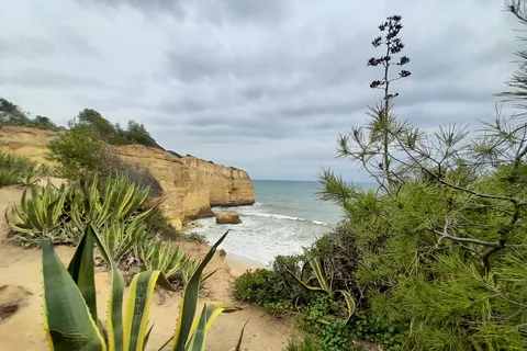Albufeira: tour delle scogliere dell'Algarve e della cappella delle ossa