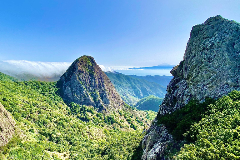 Von Los Cristianos aus: Ganztagesausflug zur Insel La Gomera