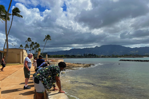 Oahu: Diamond Head Crater Hike och North Shore Experience