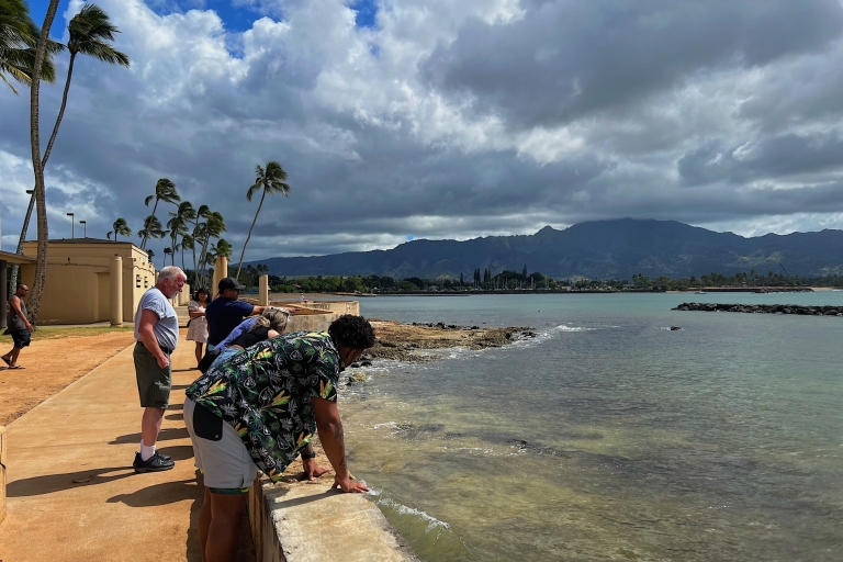 Oahu: randonnée dans le cratère de Diamond Head et expérience sur la côte nord