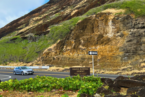 Oahu: randonnée dans le cratère de Diamond Head et expérience sur la côte nord