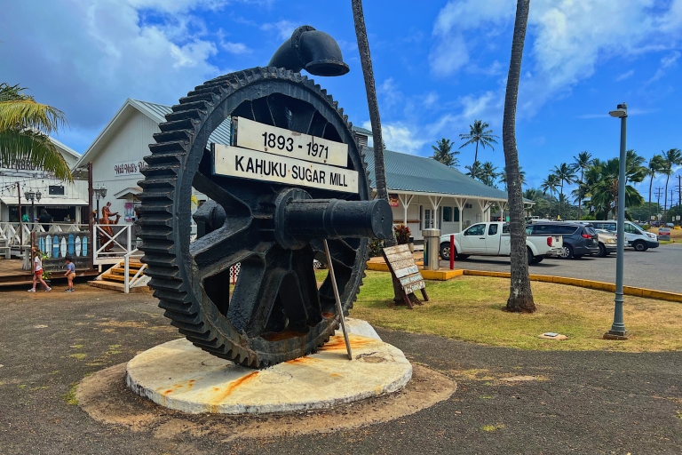 Oahu: Diamond Head Kraterwanderung und North Shore Erlebnis