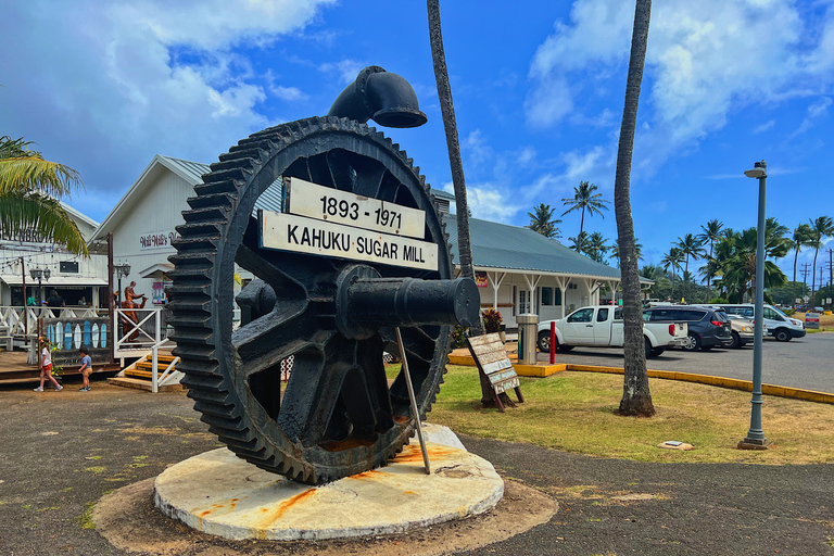 Oahu: Diamond Head Crater Hike och North Shore Experience