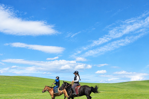 Mongolia: Horseback Riding Day Lesson and Grassland Ride