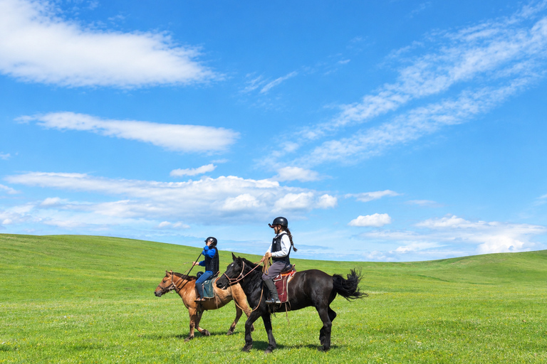 Mongolia: Horseback Riding Day Lesson and Grassland Ride