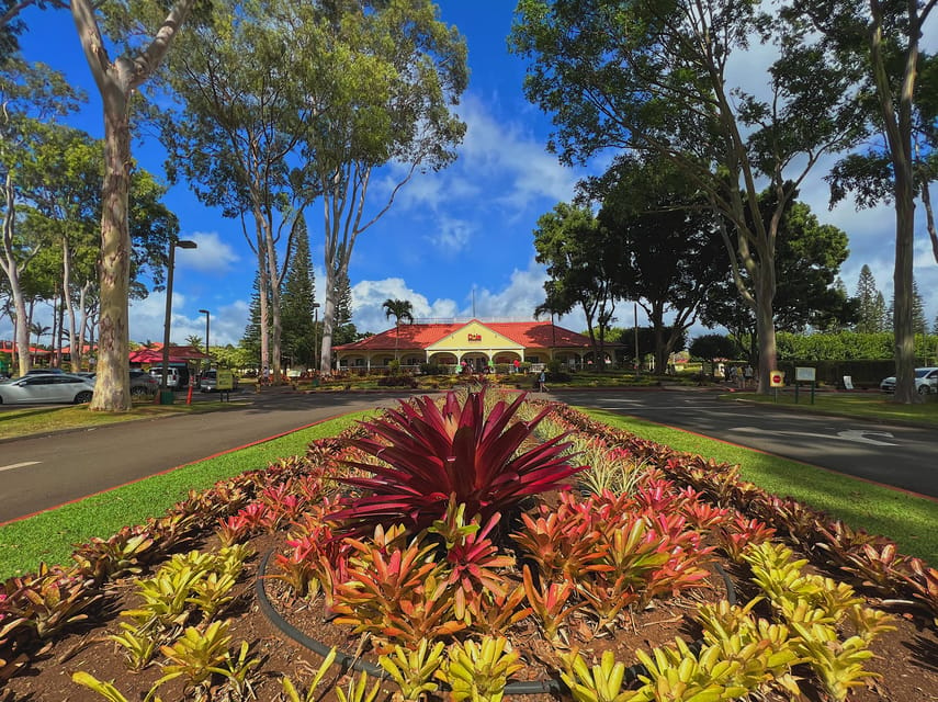 Oahu North Shore Experience En Dole Plantation Getyourguide