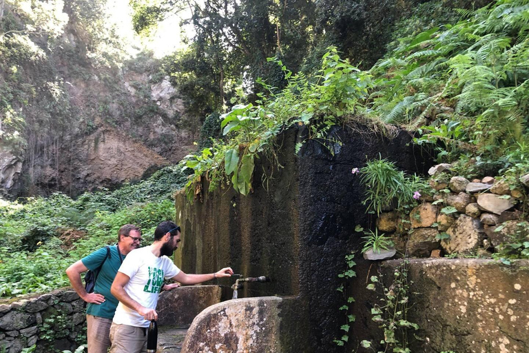 Tenerife: Canary History and Color Potatoes