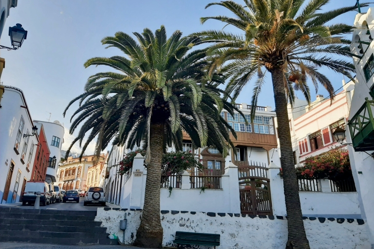 Desde Tenerife: excursión de un día a los paisajes volcánicos de La Palma