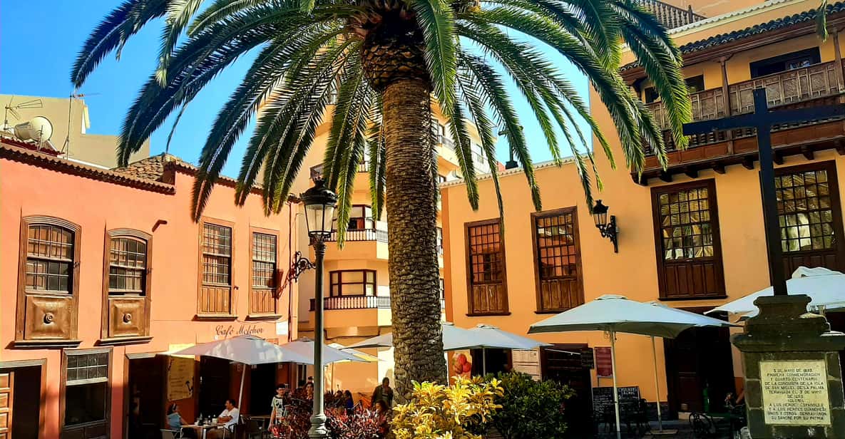 Afbeelding 10 van Vanaf Tenerife: dagtrip naar de vulkanische landschappen van La Palma