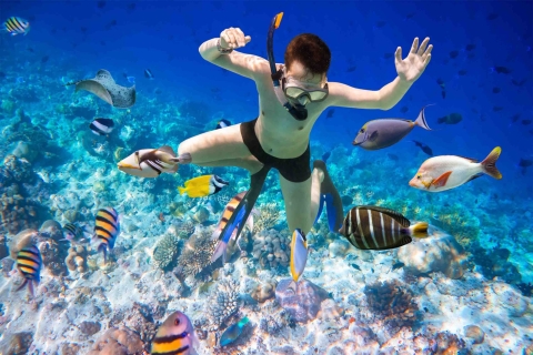 Hurghada: Wycieczka z nurkowaniem na wyspie Giftun z lunchemWycieczka do nurkowania