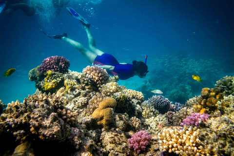 Hurghada: excursion de plongée en apnée sur l'île Giftun avec déjeunerVoyage de plongée en apnée