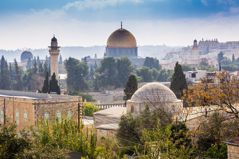 Jerusalén: viaje en autobús de día completo por la ciudad vieja y nueva con Yad Vashemde Jerusalén