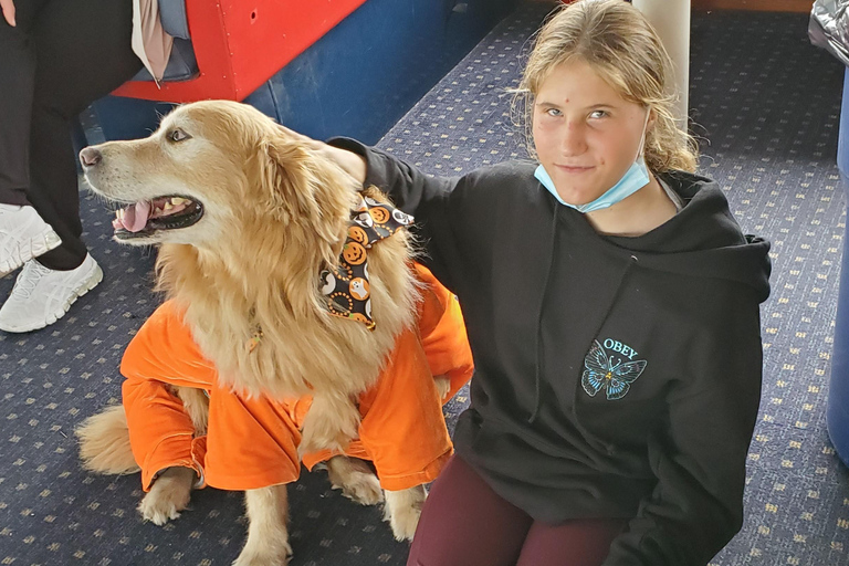 Boston: malowniczy rejs po porcie (przyjazny psom)Boston: Rejs widokowy po porcie (przyjazny psom)