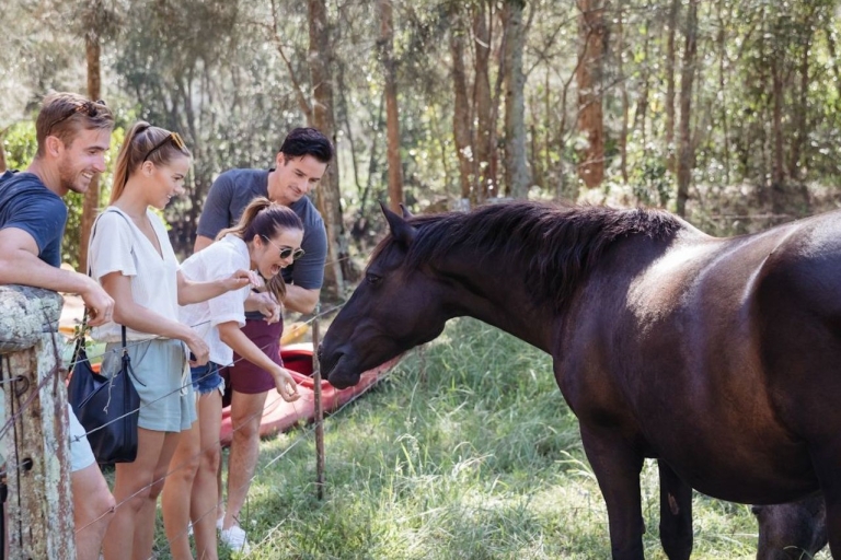 Lado: Experiencia de equitación con instructorBando: Experiencia a caballo