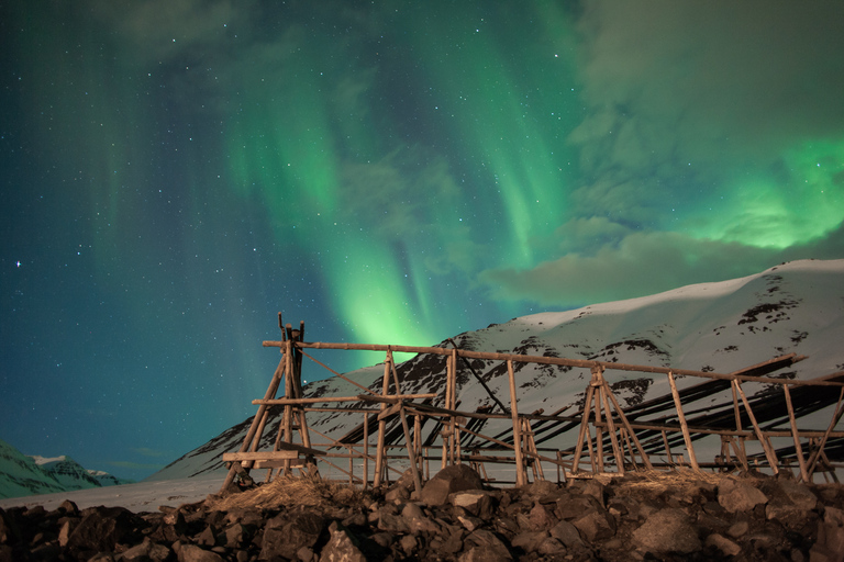 Akureyri: excursão privada à aurora boreal com traslado e lancheOpção padrão