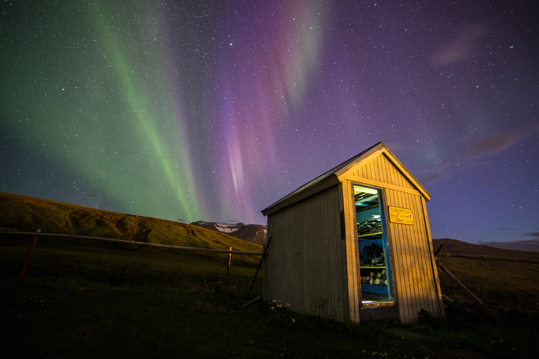 Akureyri: excursão privada à aurora boreal com traslado e lancheOpção padrão