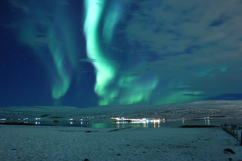 Akureyri: excursão privada à aurora boreal com traslado e lancheOpção padrão