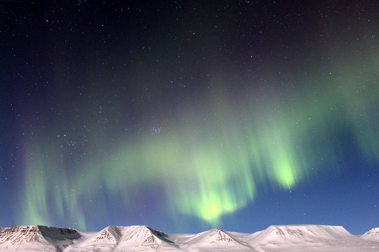 Akureyri: excursão privada à aurora boreal com traslado e lancheOpção padrão