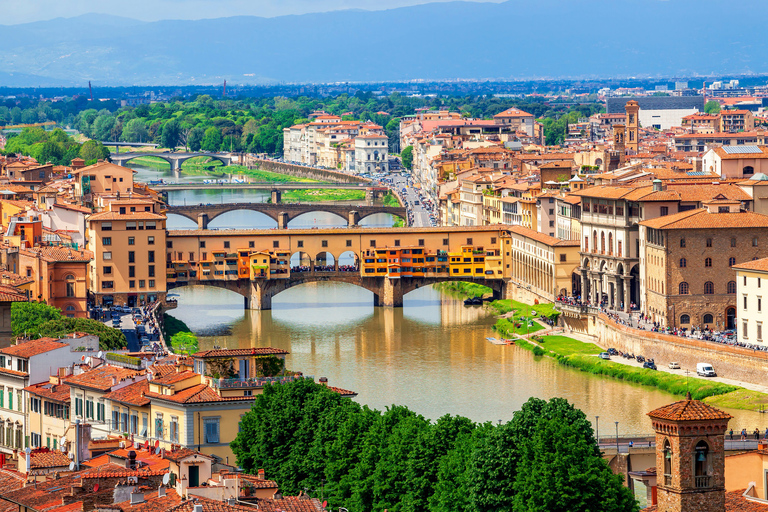 Florence: Highlights Guided Walking Tour with Cathedral Tour in Spanish