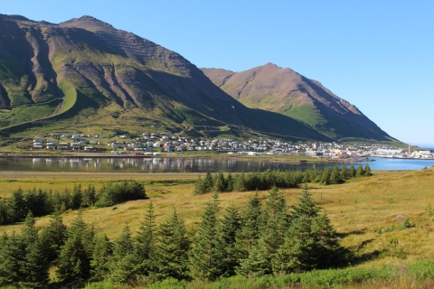 Akureyri: visite privée d'une journée des quatre tunnels de SiglufjörðurOption standard