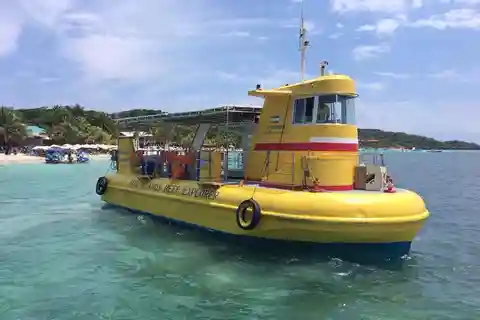 Roatan: Sloth Park, Horseback Ride & Glass Bottom Boat Tour