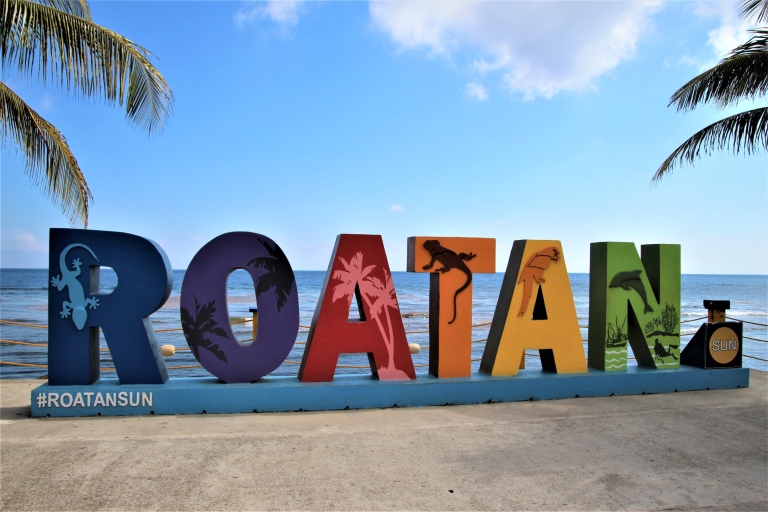 Roatán: luiaardpark, paardrijden en boottocht met glazen bodemVan Roatan Village Port: Island Highlights Tour & Boottocht