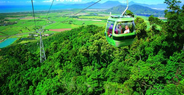 Port Douglas World Heritage Forest by Skyrail & Scenic Rail