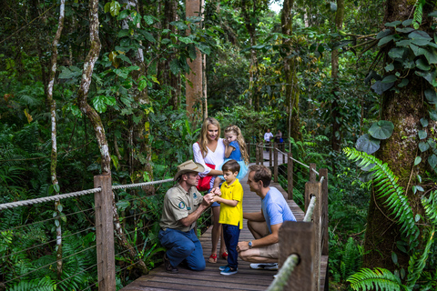 Port Douglas: forêt du patrimoine mondial par Skyrail et Scenic Rail