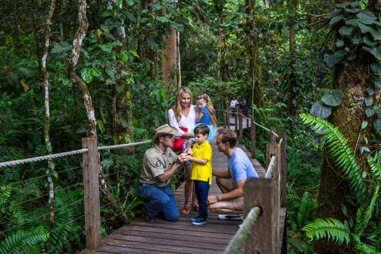 Port Douglas: World Heritage Forest by Skyrail & Scenic Rail