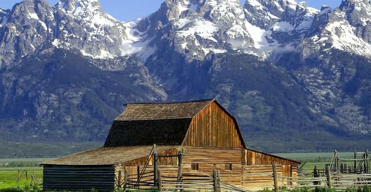 From Jackson: Half-Day Grand Teton National Park Tour