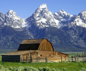 Ab Jackson: Halbtagestour durch den Grand Teton National Park