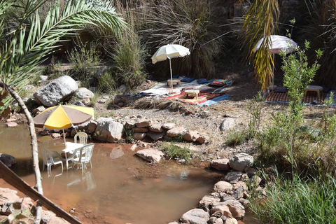 Agadir: Paradise Valley & Atlas Mountains Day Trip