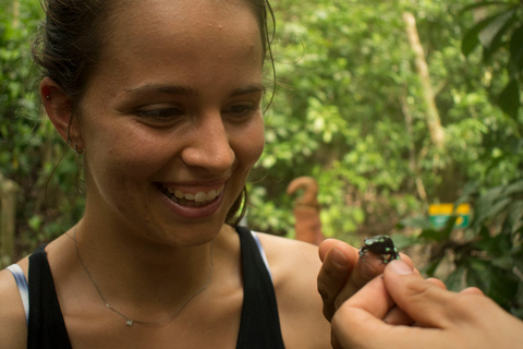 From San José: Carara National Park and Tárcoles River Tour Group Tour with Boat Ride