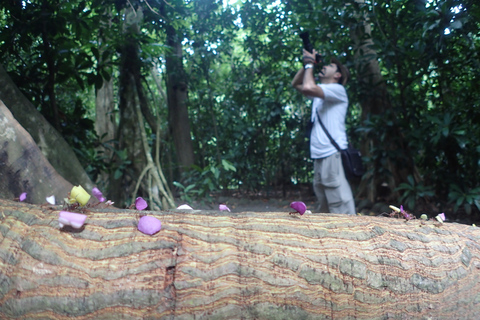 From San José: Carara National Park and Tárcoles River Tour Group Tour with Boat Ride