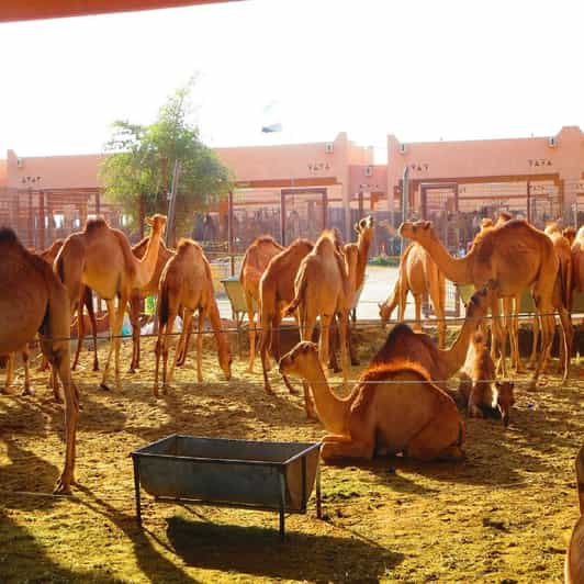 Dubai: Al Ain Garden City with Conservation Zoo | GetYourGuide