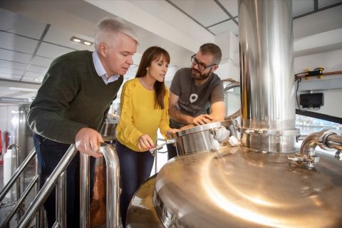 Athlone: Dead Centre Brewing Tour and Craft Beer Tasting