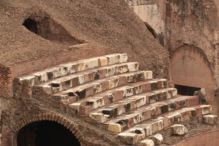 Rome: Colosseum Underground Small Group Guided Tour (8 pax)