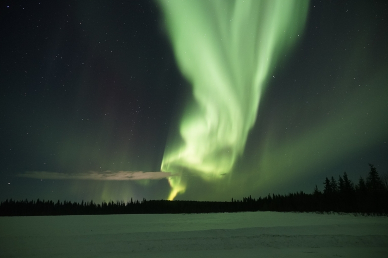 Rovaniemi: zorza polarna i piknikRovaniemi: Aurora Borealis z piknikiem
