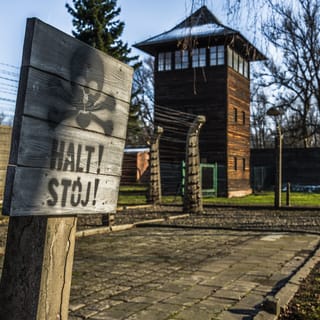 Krakovasta: Päiväretki Auschwitz-Birkenauhun opastetulla kierroksella