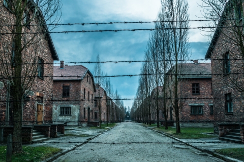 Kraków: Auschwitz-Birkenau & Wieliczka Salt Mine with Pickup Tour in French with Hotel Pickup