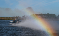 Homosassa, Golfo de México Airboat Ride and Dolphin mira - Housity