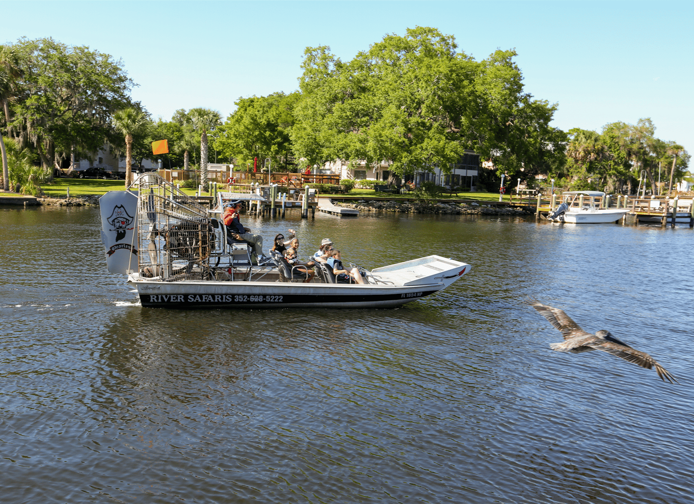 Homosassa: Airboat-tur i Den Mexicanske Golf og delfinsafari