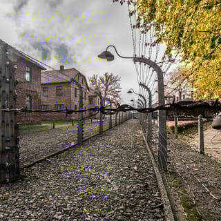 Kraków: Auschwitz-Birkenau & Wieliczka saltgruva med upphämtning