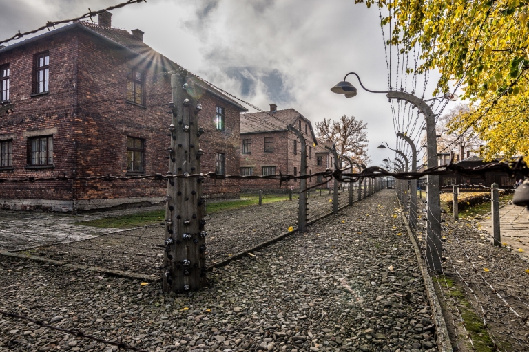 Krakau: Auschwitz-Birkenau & Wieliczka-zoutmijn met pick-upTour in het Frans met Hotel Pickup