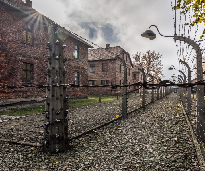 Auschwitz-Birkenau e miniera di sale di Wieliczka: tour con prelievo da Cracovia