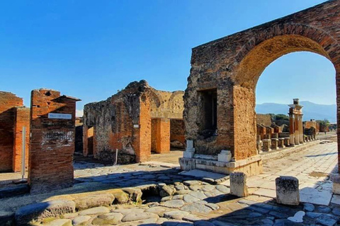 Desde Nápoles: excursión de un día a Pompeya, Ercolano y el Vesubio