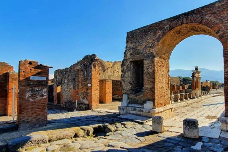 Desde Nápoles: excursión de un día a Pompeya, Ercolano y el Vesubio